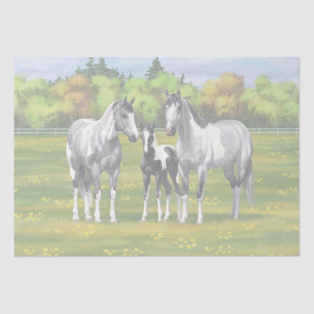 Dapple Gray Pinto Paint Horses In Summer Pasture Tissue Paper (Front)