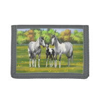 Dapple Gray Pinto Paint Horses In Summer Pasture