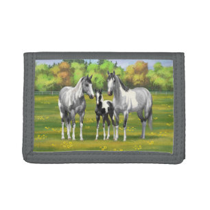 Dapple Gray Pinto Paint Horses In Summer Pasture Tri-fold Wallet