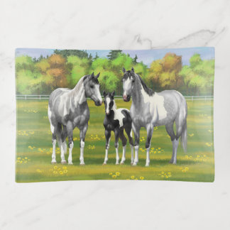 Dapple Gray Pinto Paint Horses In Summer Pasture Trinket Tray