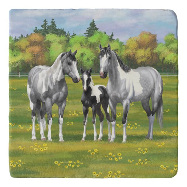 Dapple Gray Pinto Paint Horses In Summer Pasture Trivet (Front)