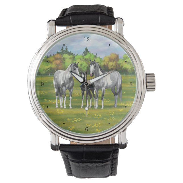 Dapple Gray Pinto Paint Horses In Summer Pasture Watch (Front)