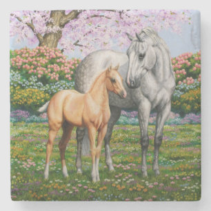 Dapple Gray Quarter Horse Mare Palomino Foal Stone Coaster