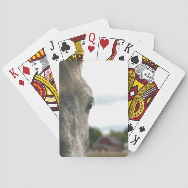 Dapple Grey Draft Horse Eye  Poker Cards (Back)