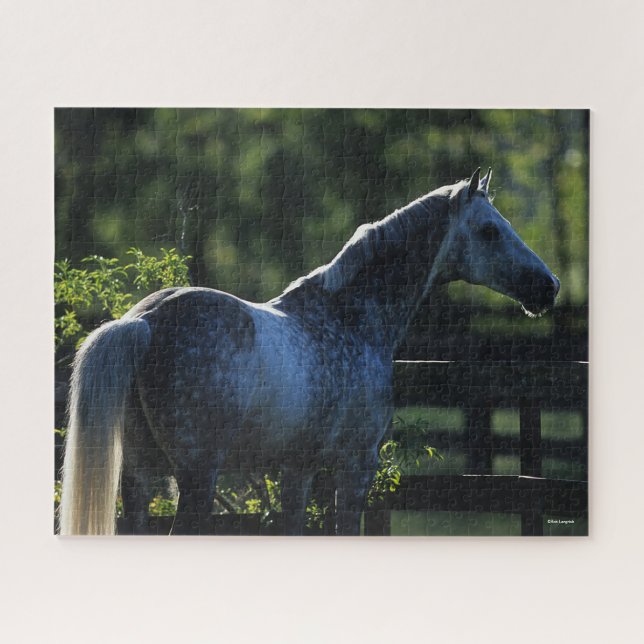 Dapple Grey Hanoverian Stallion Standing Jigsaw Puzzle (Horizontal)