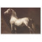 Dapple Grey Horse (by Théodore Géricault)
