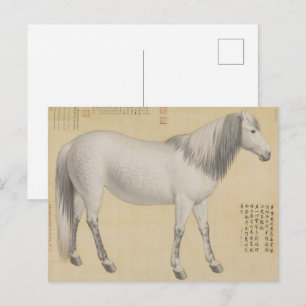 Dapple Grey Horse - Vintage Chinese Fine Art Postcard
