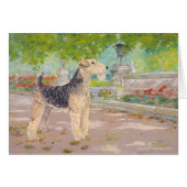 Dappled Afternoon Shade (Front Horizontal)