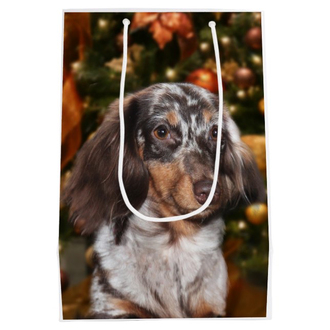 Dappled Dachshund Christmas Medium Gift Bag (Back)