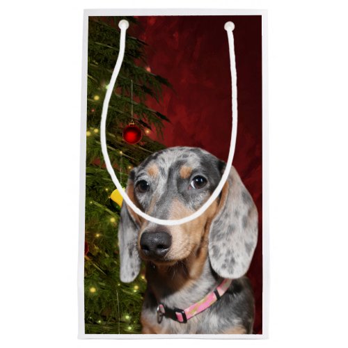 Dappled Dachshund Christmas Small Gift Bag