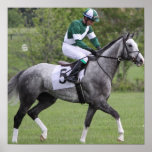 Dappled Grey Race Horse Poster