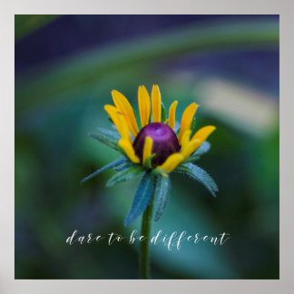 Dare to be different - Beautiful flower photograph Poster
