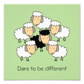 Dare To Be Different Black Sheep