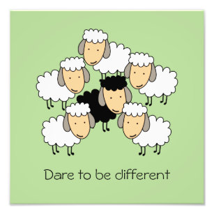 Dare To Be Different Black Sheep Photo Print