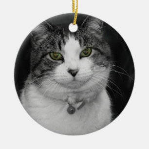 Dare to Look Into My Green Eyes Ceramic Ornament