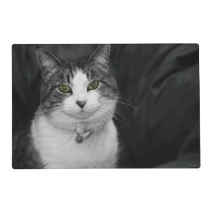 Dare to Look Into My Green Eyes Placemat