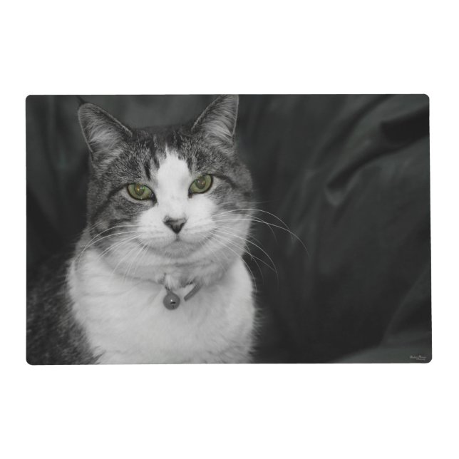 Dare to Look Into My Green Eyes Placemat (Front)
