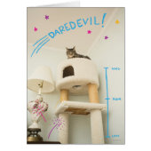 Daredevil Cat Cards (Front)