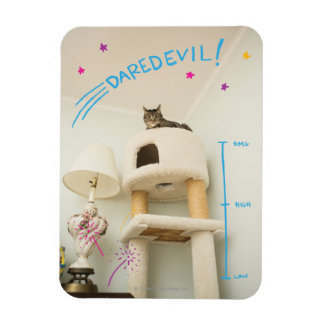 Daredevil Cat Magnet