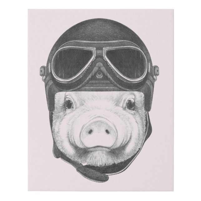 Daredevil Pig Faux Canvas Print (Front)