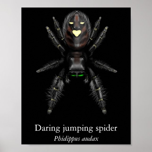 Daring Jumping Spider Poster (Semi-Gloss) (Front)