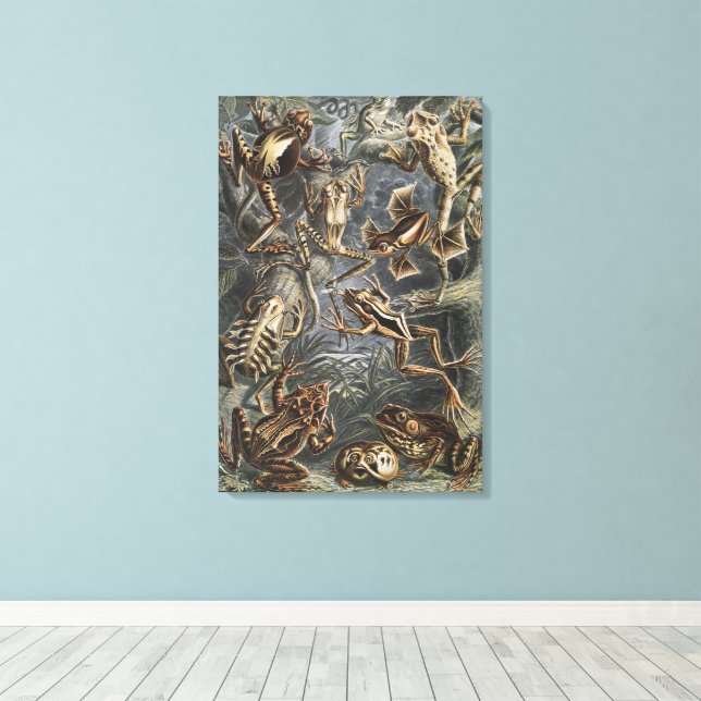 Dark Academia Haeckel Vintage Frog Nature Print (Insitu(Wood Floor))