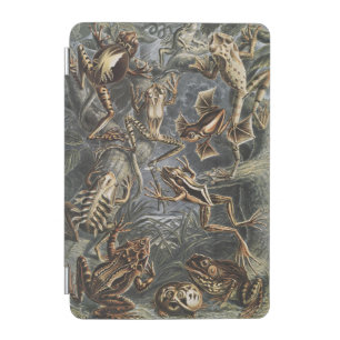 Dark Academia Haeckel Vintage Frog Nature Print iPad Mini Cover