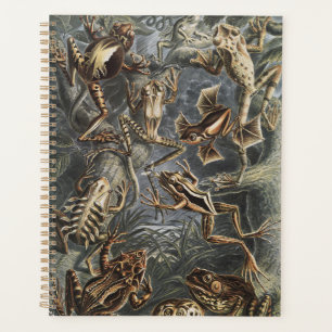 Dark Academia Haeckel Vintage Frog Nature Print Planner