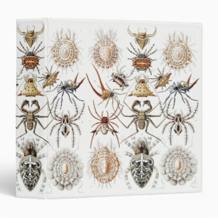 Dark Academia Haeckel Vintage Spider Symmetry Art 3 Ring Binder