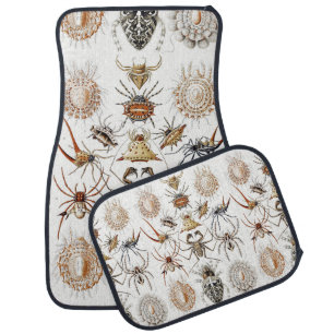 Dark Academia Haeckel Vintage Spider Symmetry Art Car Floor Mat