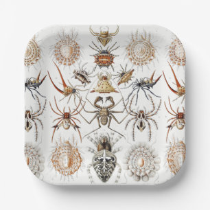 Dark Academia Haeckel Vintage Spider Symmetry Art Paper Plates