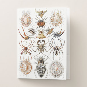 Dark Academia Haeckel Vintage Spider Symmetry Art Pocket Folder