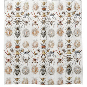 Dark Academia Haeckel Vintage Spider Symmetry Art Shower Curtain