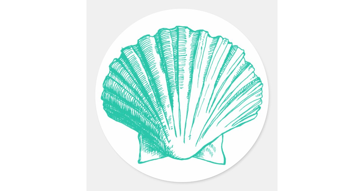 Dark Aqua Sea Shell Sticker | Zazzle