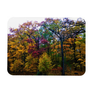 Dark Autumn Forest Magnet