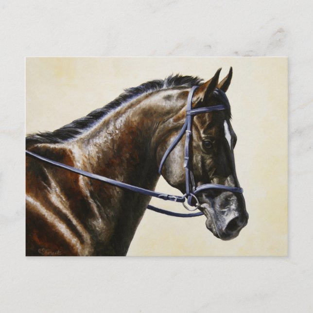 Dark Bay Dressage Sport Horse Postcard (Front)