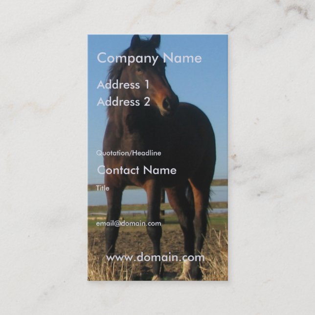 Dark Bay Horse Business Card (Front)