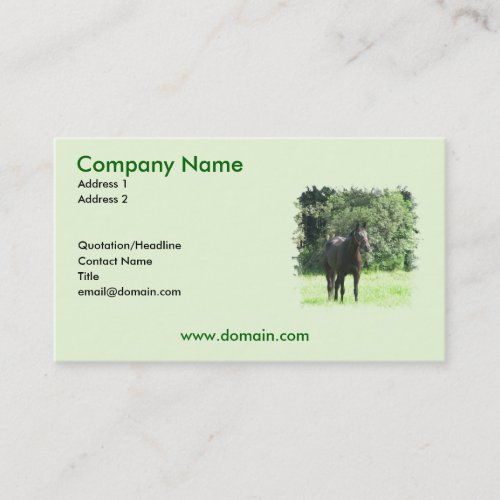 Dark Bay Horse on a Business Card