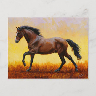 Dark Bay Stallion Horse Galloping Postcard