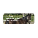 Dark Bay Thoroughbred Address Label