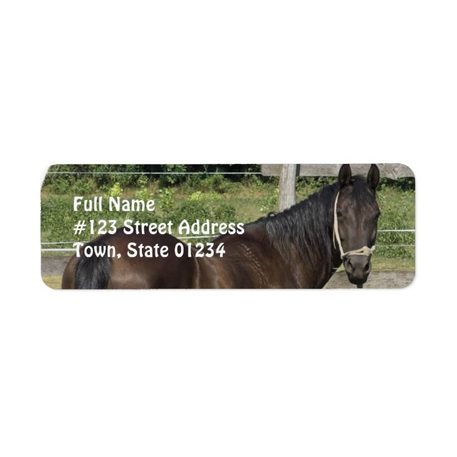 Dark Bay Thoroughbred Address Label (Front)