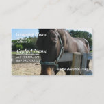 Dark Bay Thoroughbred Horse Business Card