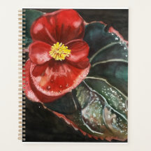 Dark Begonia in Watercolor