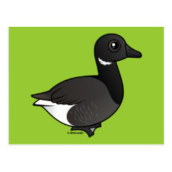Dark-bellied Brant Goose Postcard