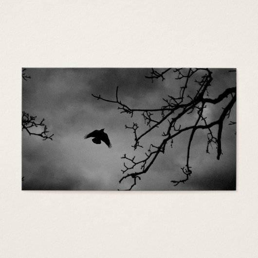 Dark Bird in Flight (Front)