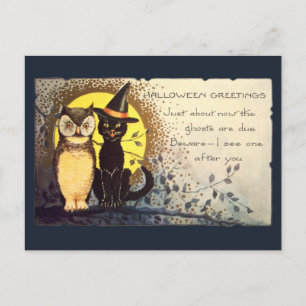 Dark Blue Friendly Cat and Owl Vintage Halloween Postcard