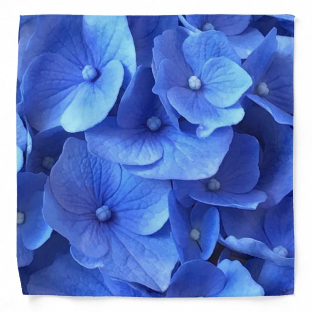 Dark Blue Hydrangeas Bandana (Front)