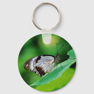 Dark Brown and Gray Butterfly Keychain