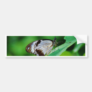 Dark Brown and Grey Butterfly Bumper Sticker
