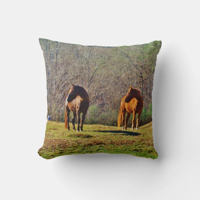 Dark Brown and light Brown horses Throw Pillow (Front)
